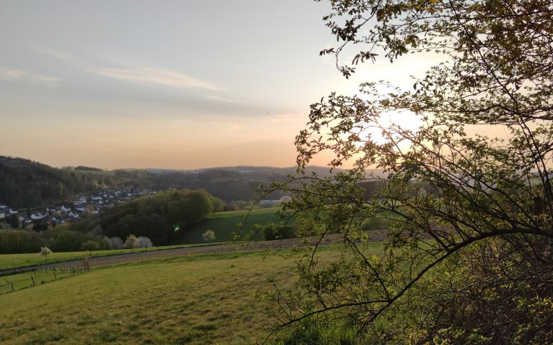 Ein Fehler ist beim Laden des Bildes aufgetreten.