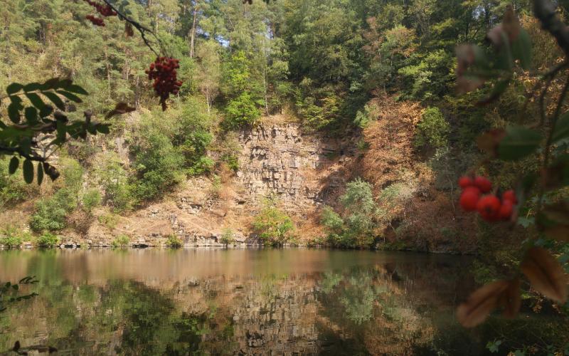 Ein Fehler ist beim Laden des Bildes aufgetreten.